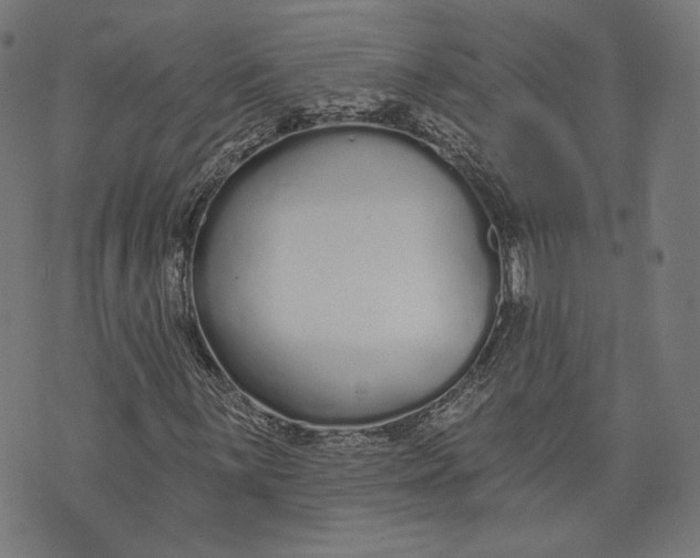 X0000073991059200609111527