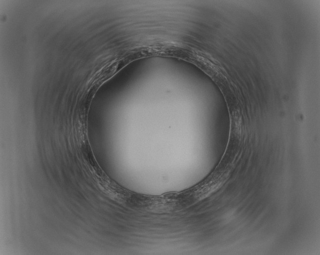 X0000073991060200609111527