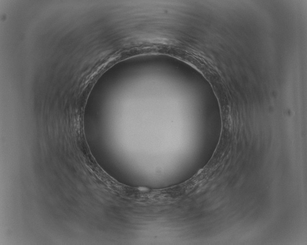 X0000073991061200609111527