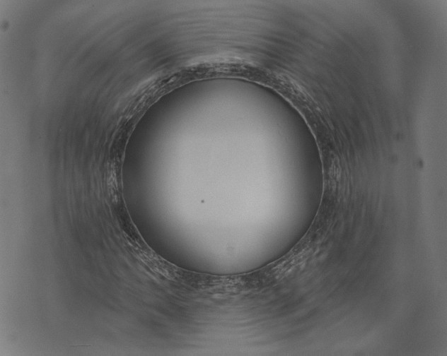 X0000073991062200609111527