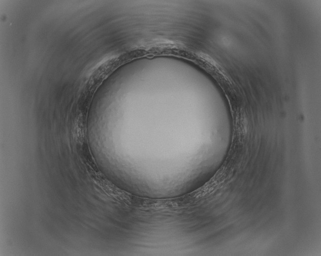 X0000073991063200609111527