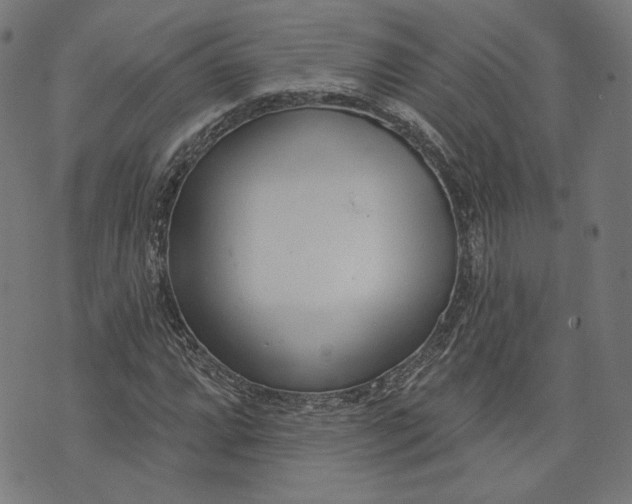 X0000073991064200609111527