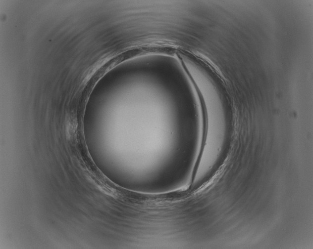 X0000073991065200609111527