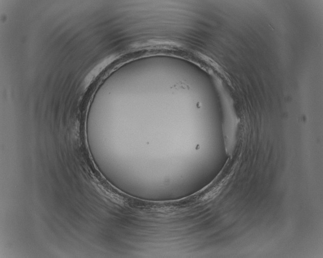 X0000073991066200609111527