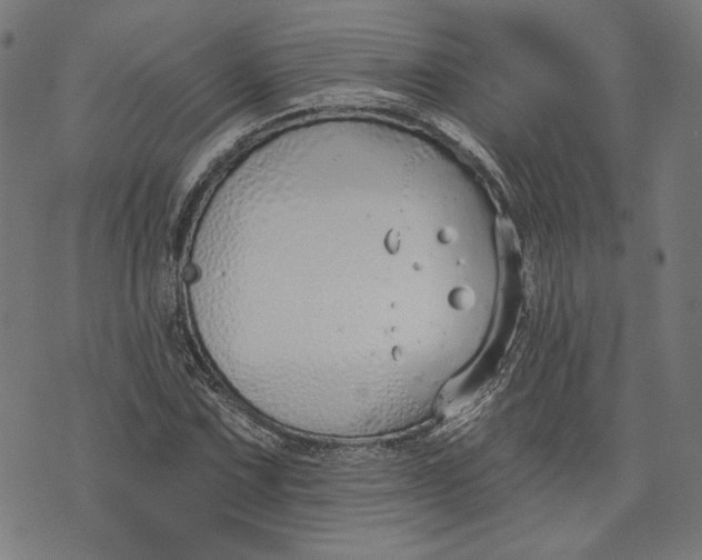 X0000073991067200609111527