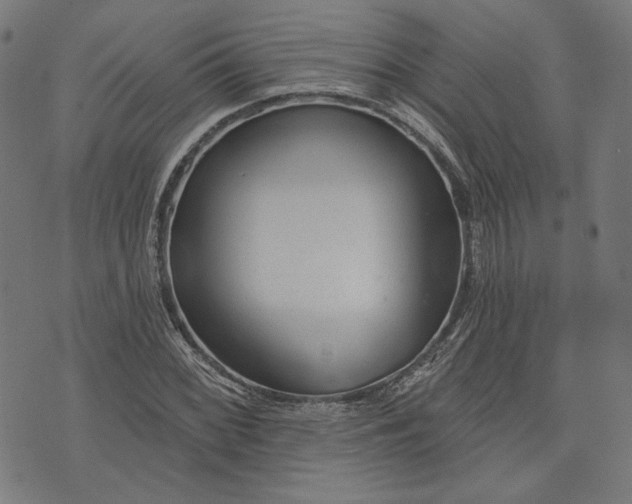 X0000073991068200609111527