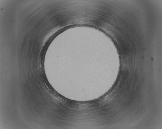 X0000073991070200609111527