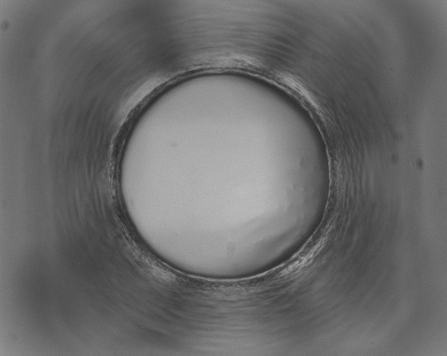 X0000073991071200609111527