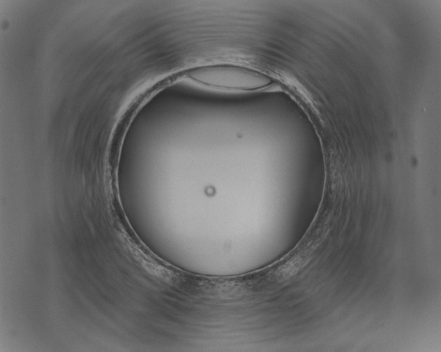 X0000073991072200609111527