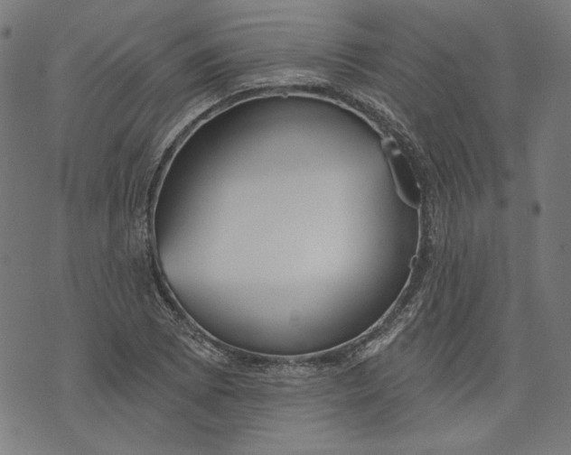 X0000073991073200609111527