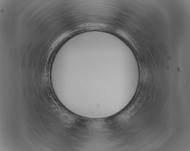 X0000073991074200609111527