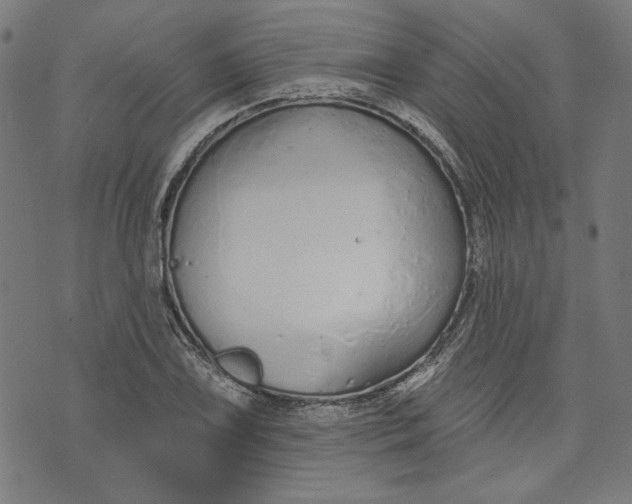 X0000073991075200609111527