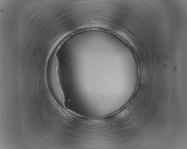 X0000073991076200609111527