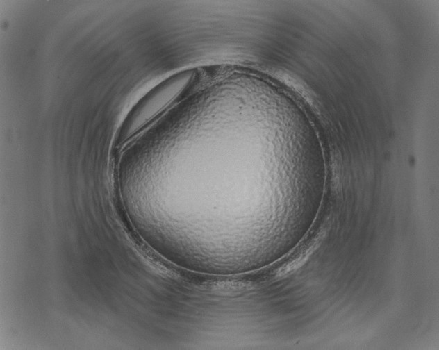 X0000073991077200609111527