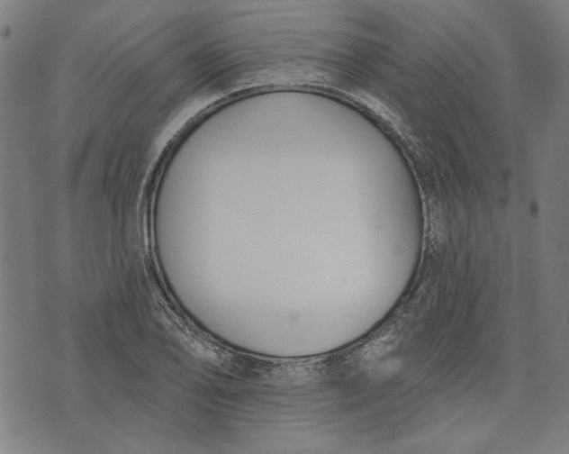 X0000073991078200609111527