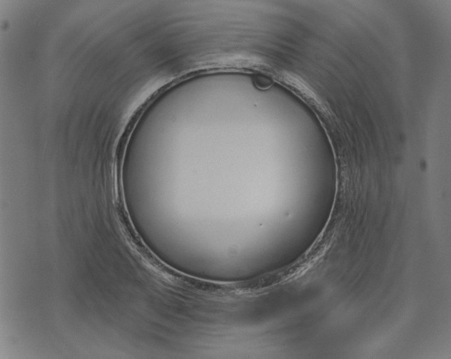 X0000073991079200609111527