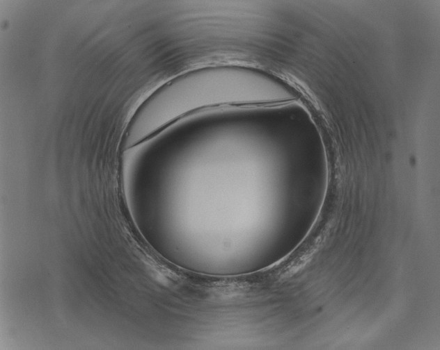 X0000073991081200609111527