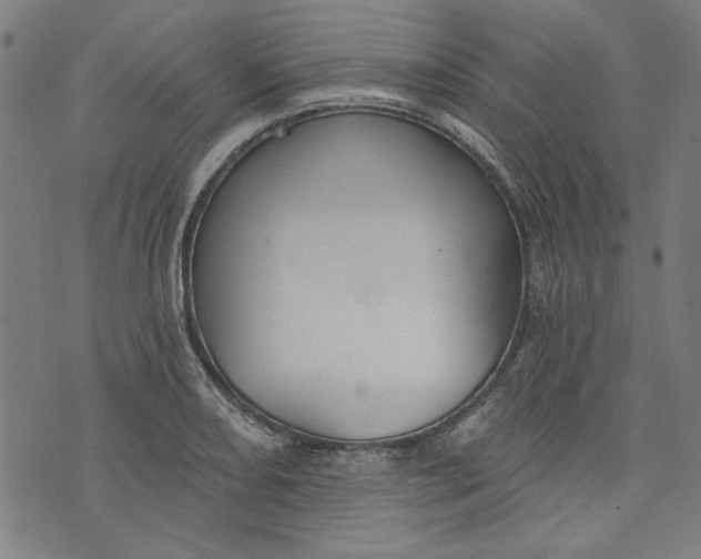 X0000073991082200609111527