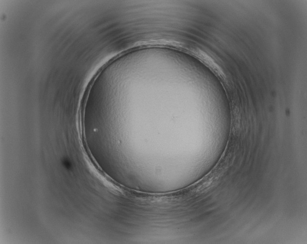 X0000073991084200609111527