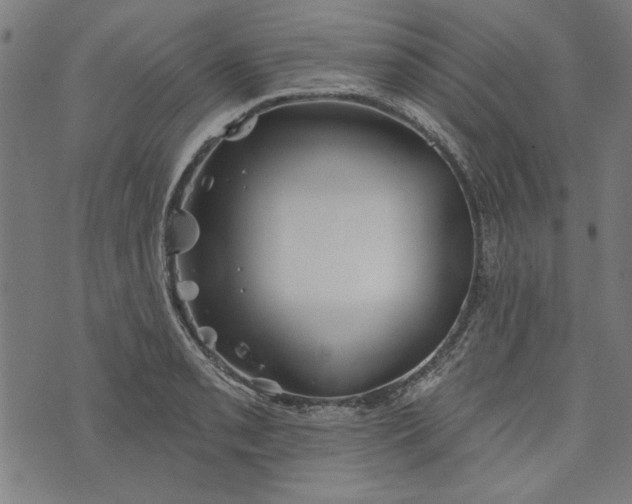 X0000073991085200609111527