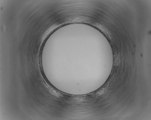 X0000073991086200609111527