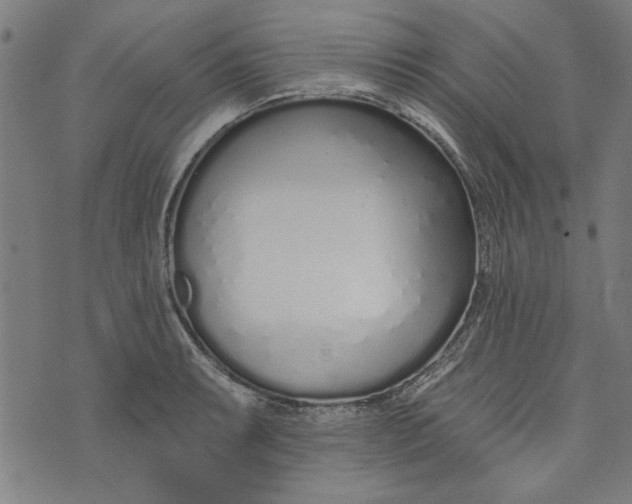 X0000073991087200609111527