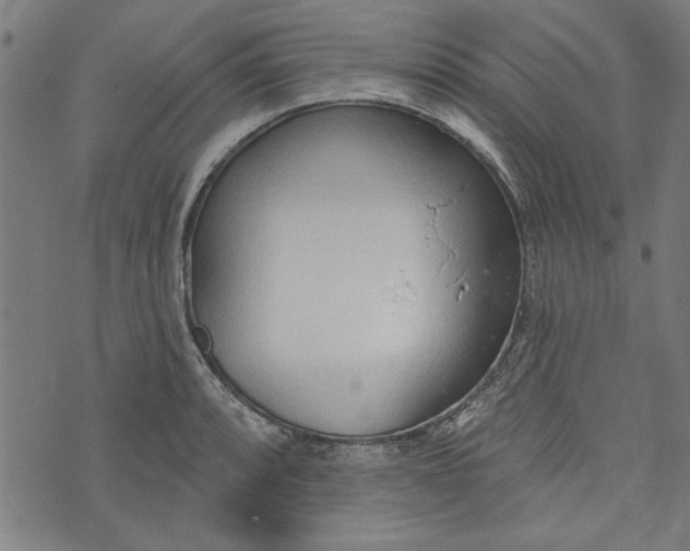 X0000073991088200609111527