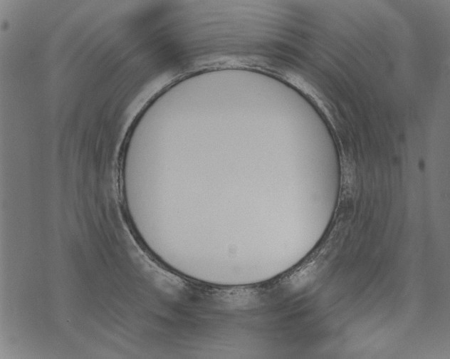 X0000073991090200609111527