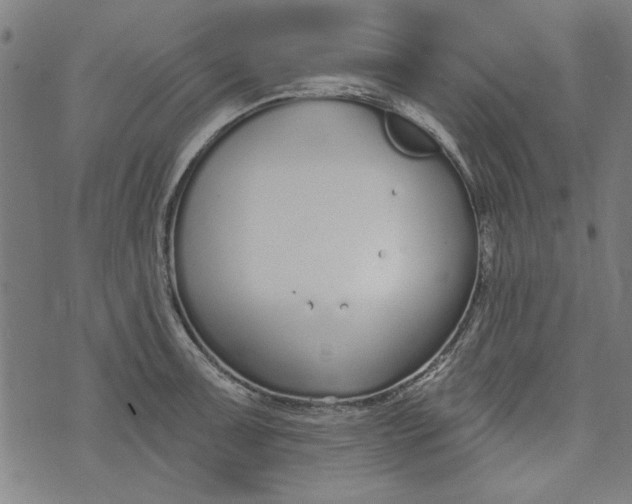 X0000073991091200609111527