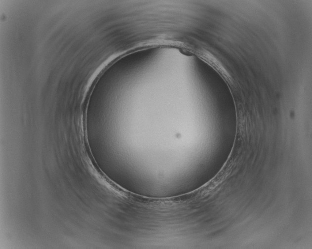 X0000073991092200609111527