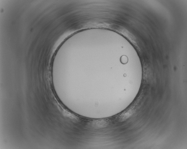 X0000073991094200609111527