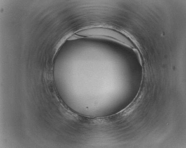 X0000073991097200609111527