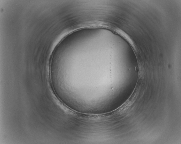 X0000073991099200609111527