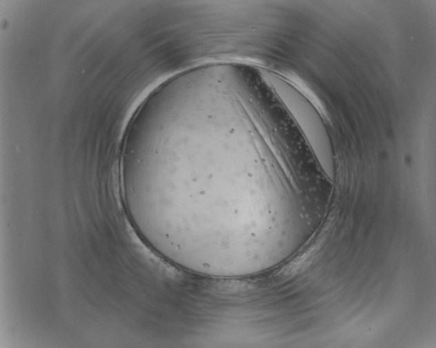 X0000073991100200609111527