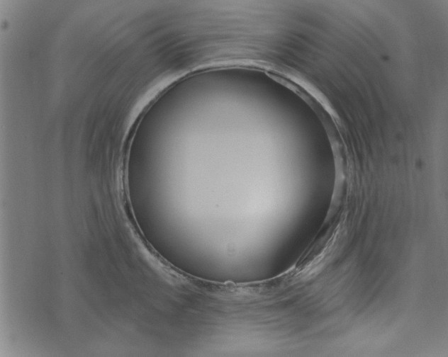 X0000073991101200609111527