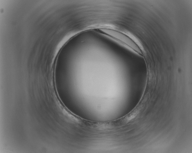 X0000073991102200609111527