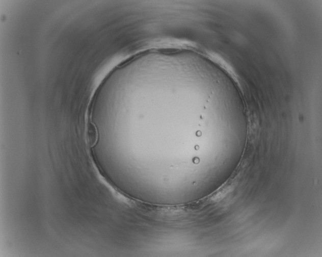 X0000073991103200609111527