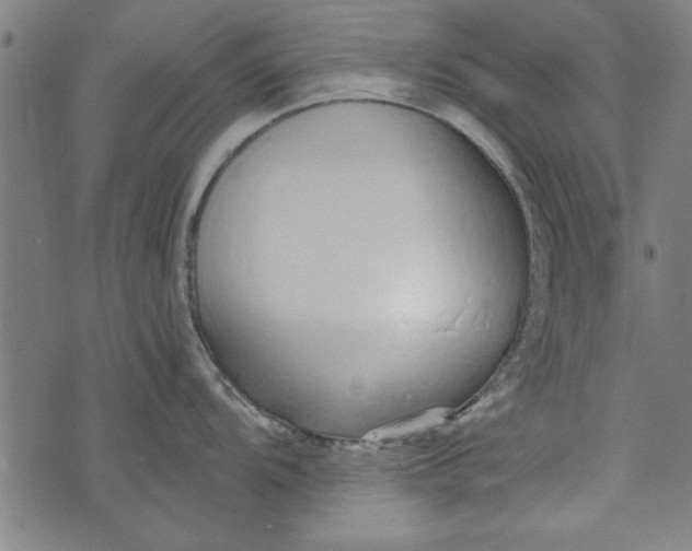 X0000073991104200609111527