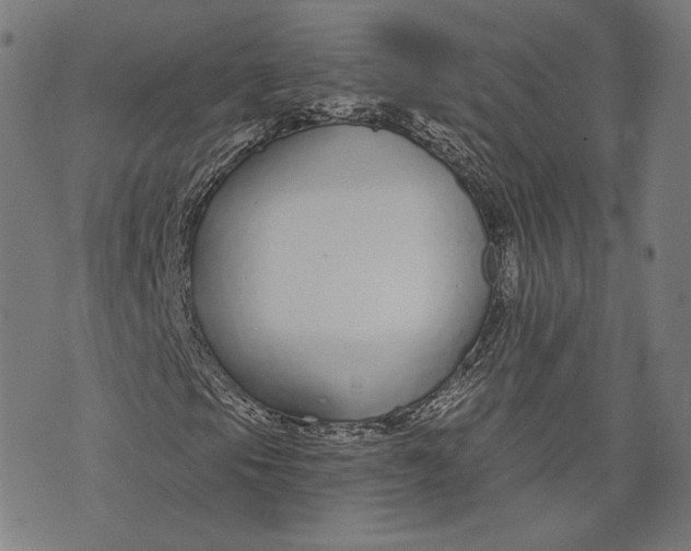 X0000073991105200609111526