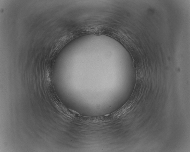 X0000073991106200609111526