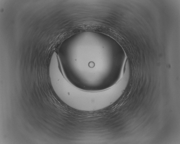 X0000073991108200609111526