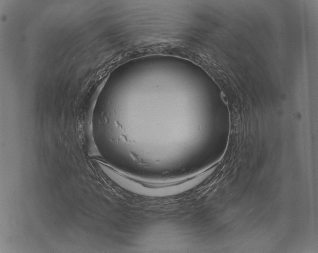 X0000073991109200609111526