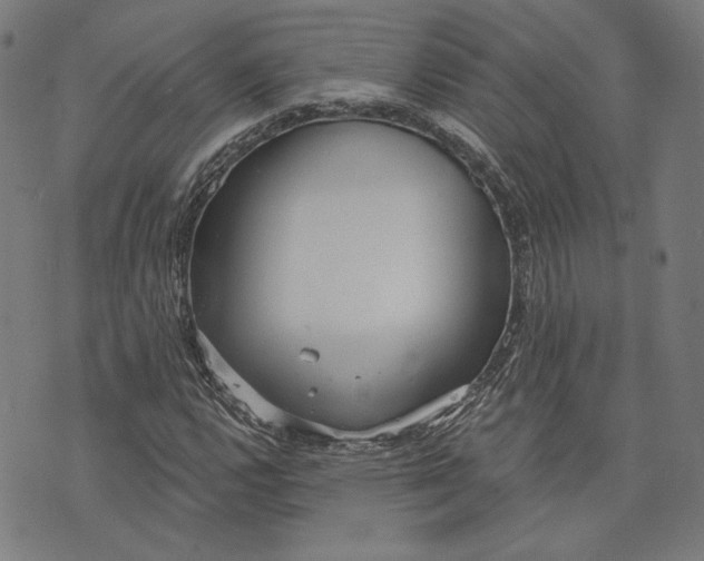 X0000073991112200609111526