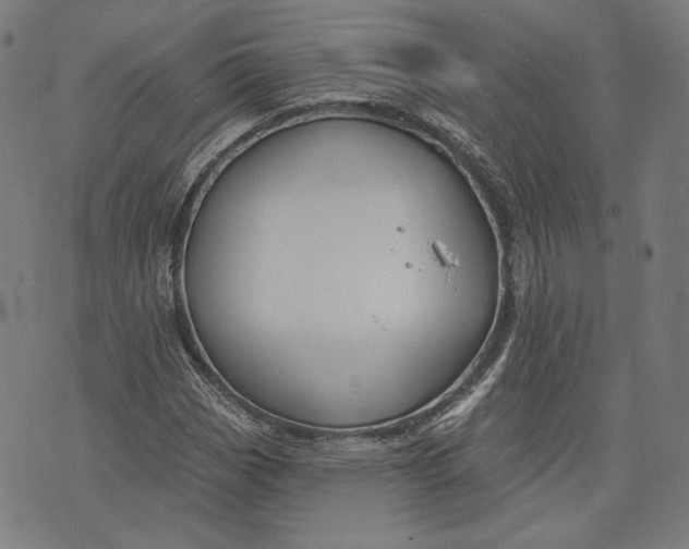 X0000073991113200609111526