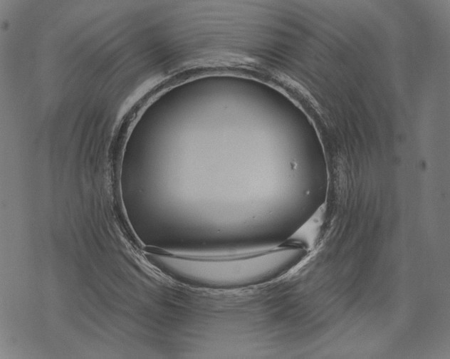 X0000073991114200609111526