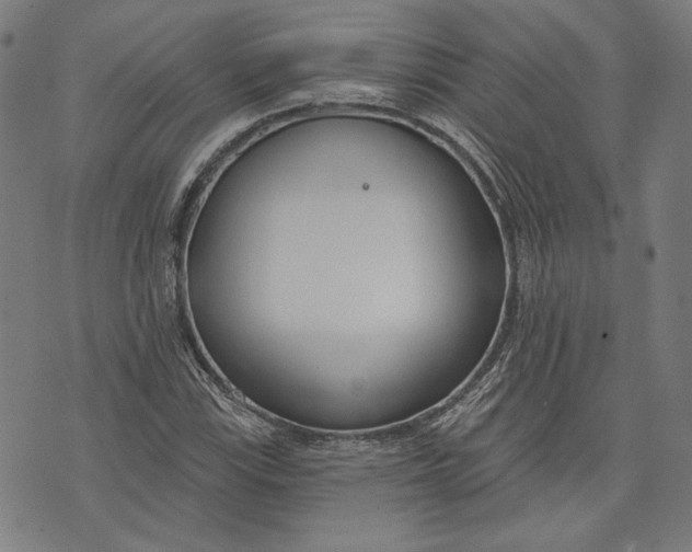 X0000073991115200609111526