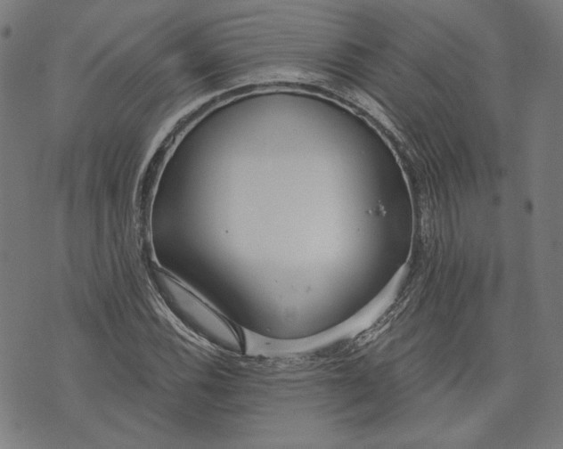 X0000073991116200609111526