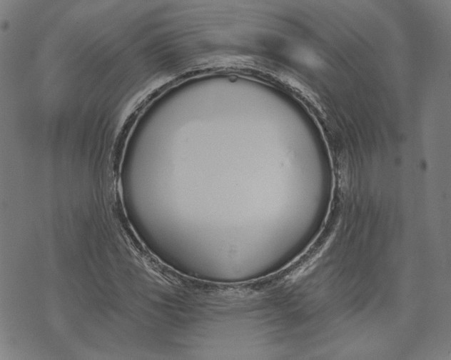 X0000073991117200609111526