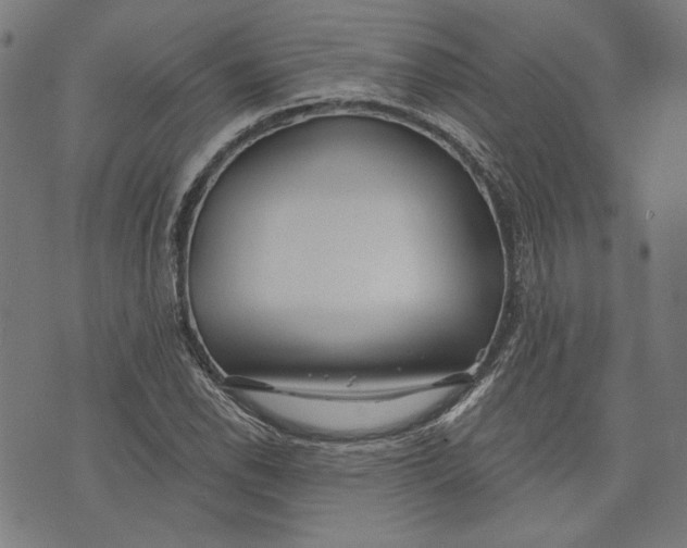 X0000073991118200609111526