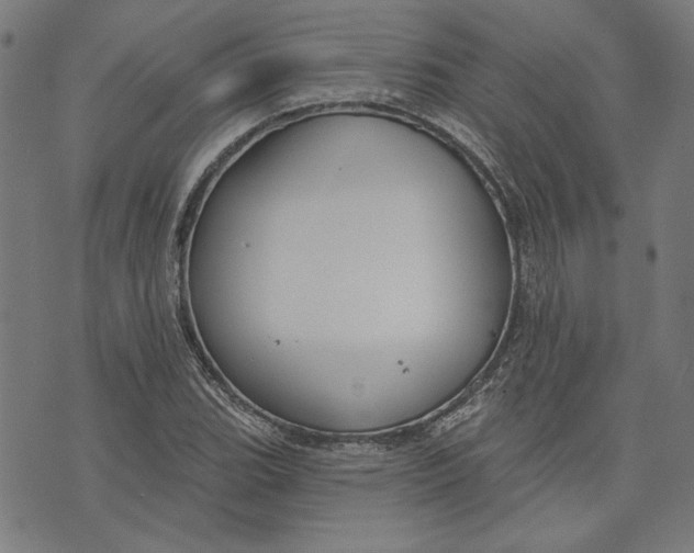 X0000073991119200609111526